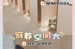 独自在家通关游戏攻略秘籍（让你成为游戏通关大师的15个必备技巧）