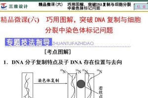 分裂细胞5攻略（掌握细胞分裂的奥秘，成为细胞之王！）