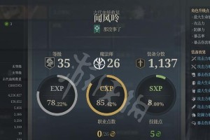 《神佑加持，快速升级攻略》（成为游戏中的冲级高手）