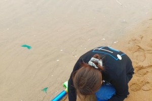 北戴河赶海攻略（北戴河赶海攻略，技能、装备、注意事项一网打尽）