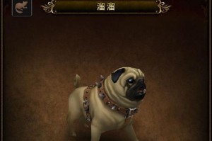 阵法师技能介绍攻略（掌握阵法师技能，成为战斗中的强者）