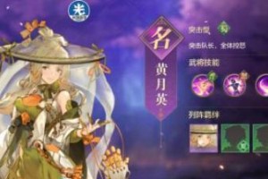 《三国志幻想大陆》中王元姬阵容与强度解析