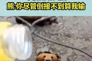 《以我功夫特牛皇城奇遇》攻略全解析（探究所有选择的作用，通关不再难！）