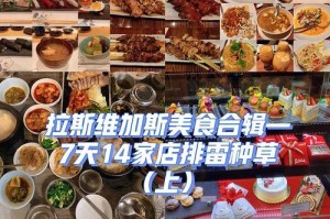 维加斯游戏创始人攻略（成功者的经验传授，带你玩转维加斯游戏世界）