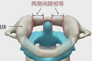 探秘正长的大冒险（穿越时空的旅程、奇幻生物与宝藏之谜、极限挑战与成长历程）