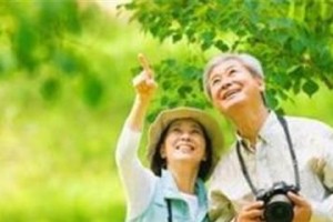 老人旅行游戏攻略（带给老人快乐和刺激的旅行游戏，让他们的晚年更加精彩）